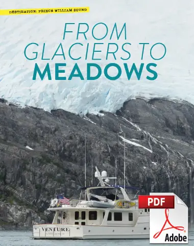 Cover image of the From Glaciers To Meadows Article
