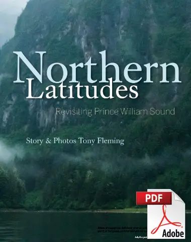 Cover image of the Northern Latitudes Article