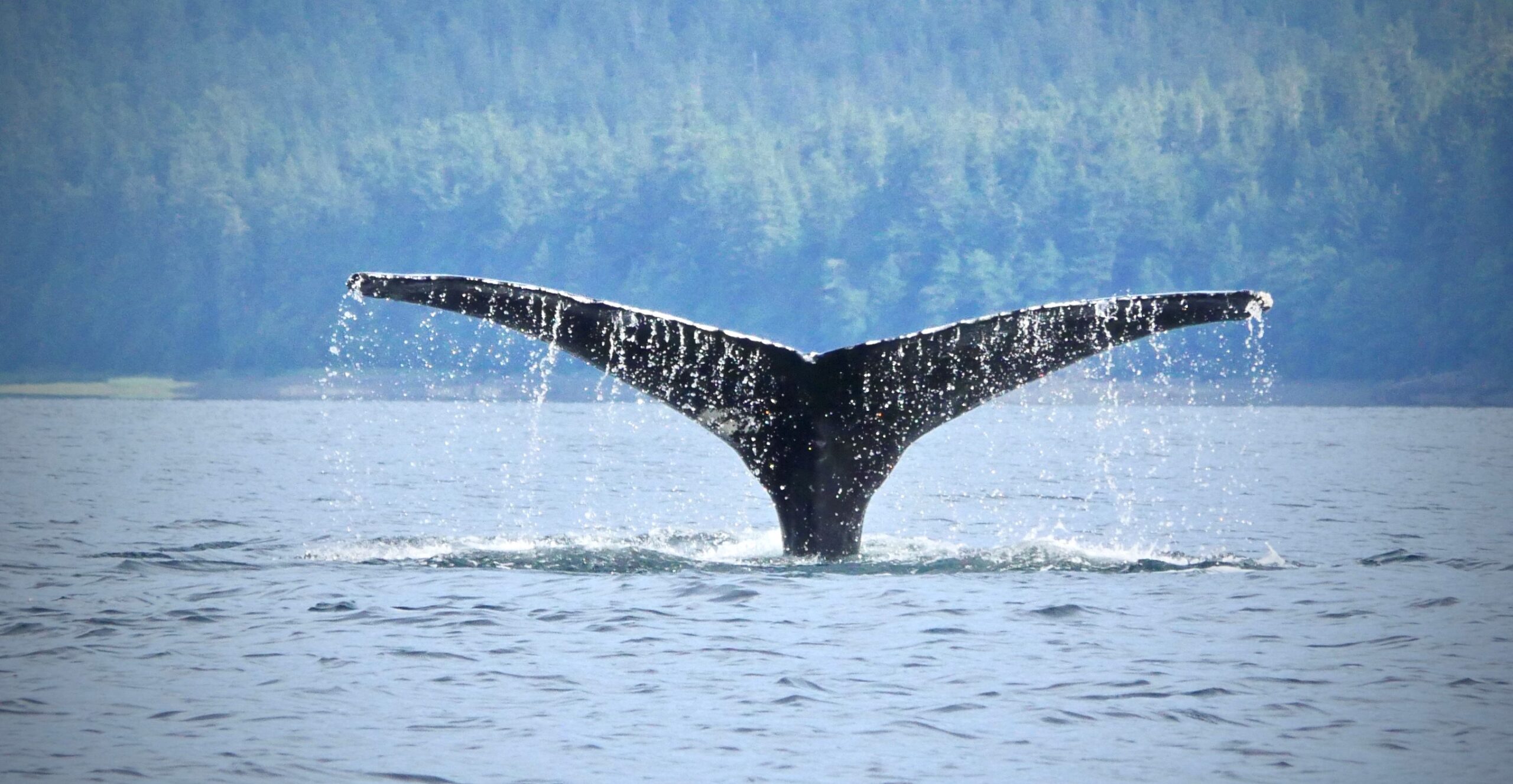 Venturing Through Southeast Alaska – Part 6