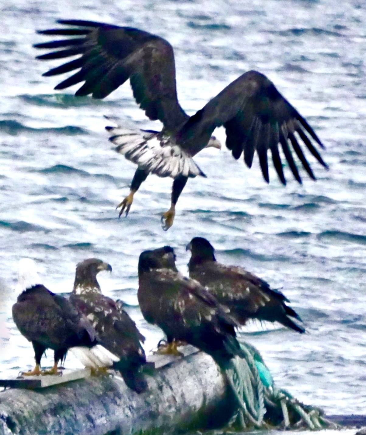 Venturing Through Southeast Alaska – Part 3