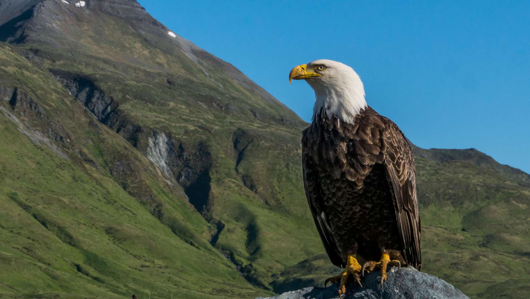 Vancouver Island to the Aleutians and Beyond – Part Eight