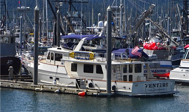 An Adventure to Cordova And The Gulf Of Alaska – Part One