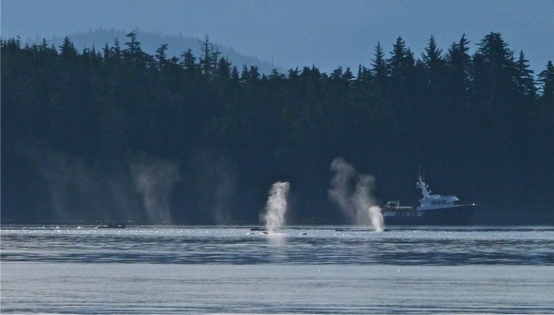 An Adventure to Cordova And The Gulf Of Alaska – Part Three